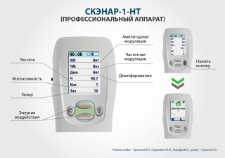 СКЭНАР-1-НТ (исполнение 01)  в Верхней Пышме купить Медицинская техника - denasosteo.ru 